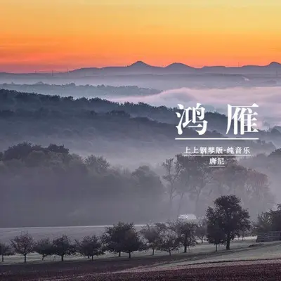 鸿雁（纯音乐）封面