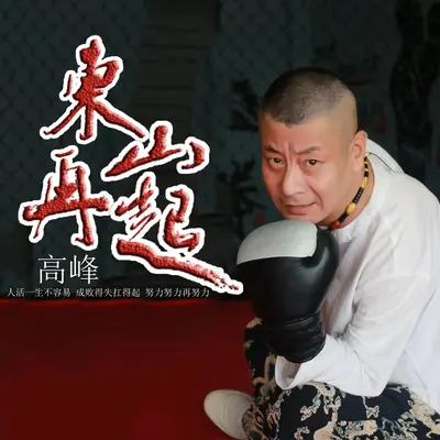 东山再起封面