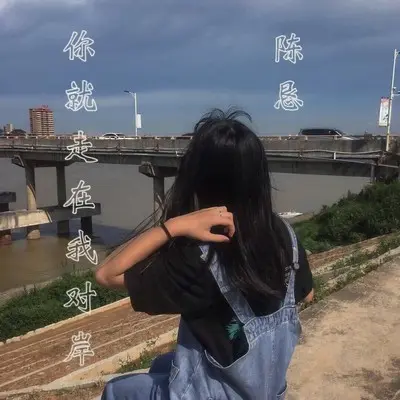 你就走在我对岸封面