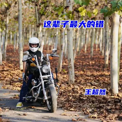 这辈子最大的错-副歌铃声封面