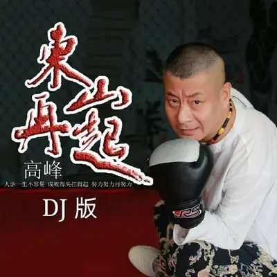 东山再起 dj版高峰封面