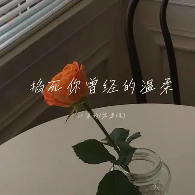 掐死你曾经的温柔封面