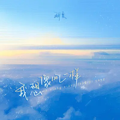 我想像风一样封面