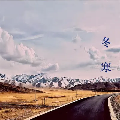 残酷的美封面