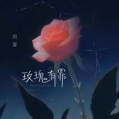 玫瑰有罪封面