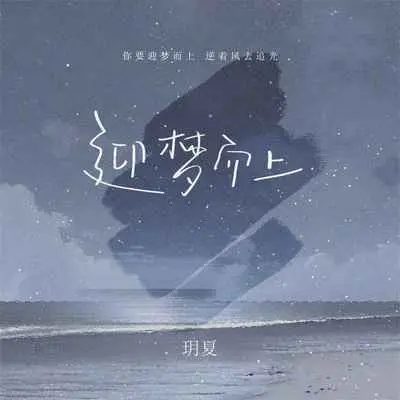 迎梦而上封面