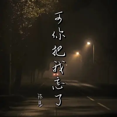 可你把我忘了封面