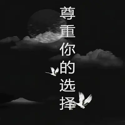 尊重你的选择封面