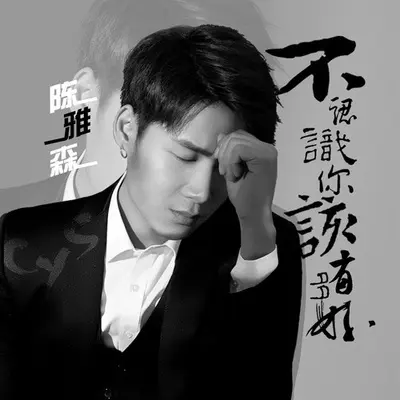 不认识你该有多好封面