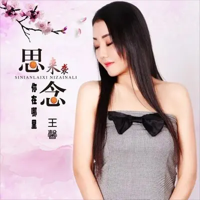 思念来袭你在哪里（DJ何鹏版伴奏） - 王馨封面