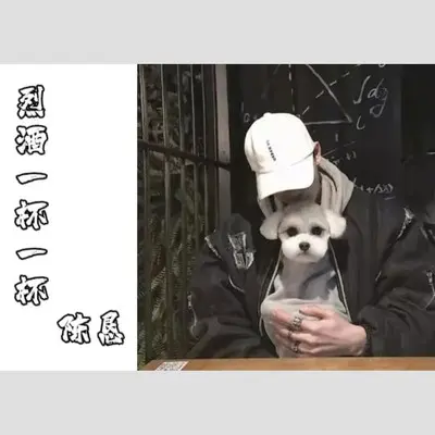 烈酒一杯一杯封面