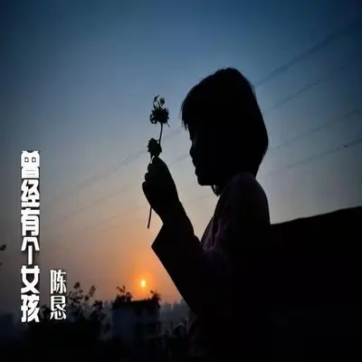曾经有个男孩封面