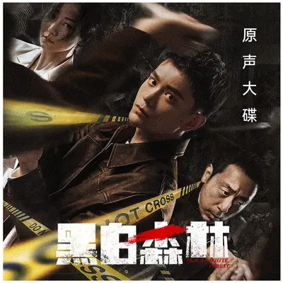 无悔（影视剧《黑白森林》插曲）封面