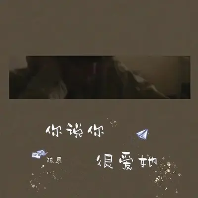 你说你很爱她封面