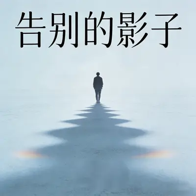 告别的影子封面