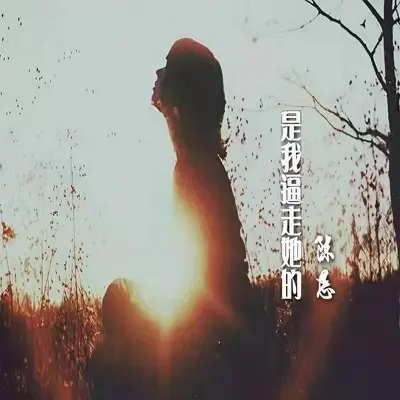 是你逼走她的封面