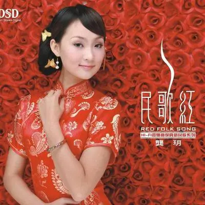 月儿弯弯照九州 - 龚玥封面