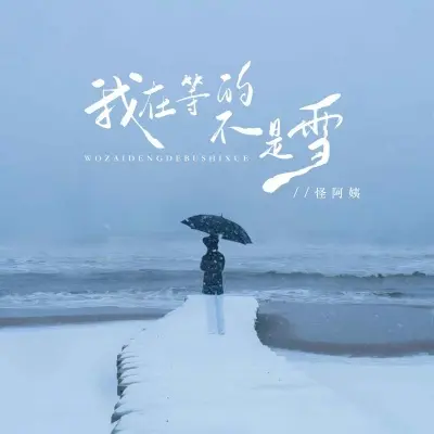 我在等的不是雪 (DJ伟然版)封面