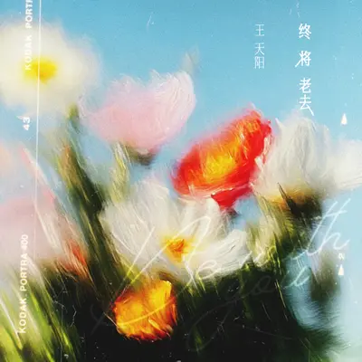 终将老去 - 王天阳封面