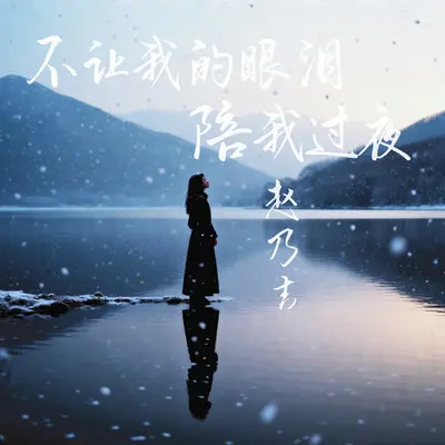 不让我的眼泪陪我过夜封面