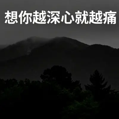 想你越深心就越痛（片段）封面