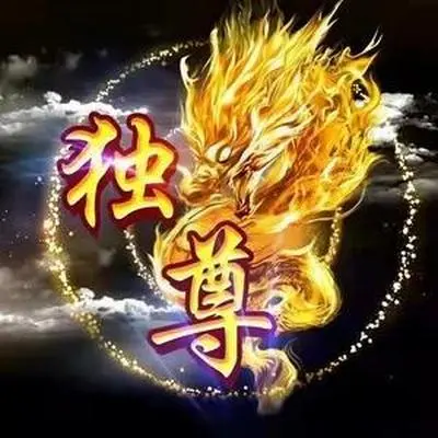 独尊家族战歌封面