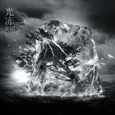 鱼鸟之恋封面