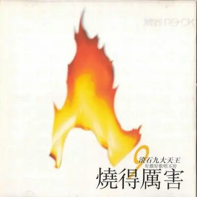 烧得厉害封面