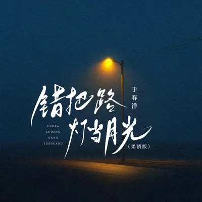 错把路灯当月光(柔情动感版)封面