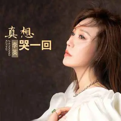 真想哭一回(DJ默涵版) - 李英封面
