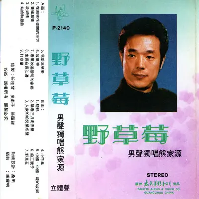 中国,中国,龙的故乡(伴奏） - 熊家源封面