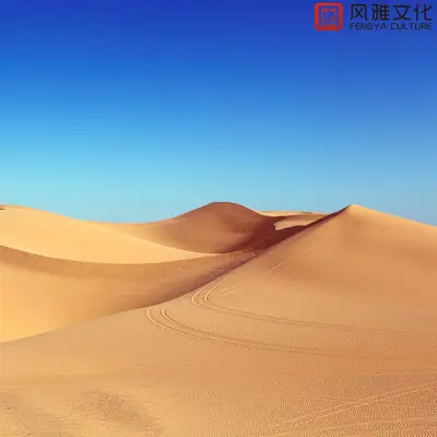 摩天轮的我们 -钢琴封面