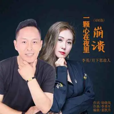 一颗心在夜里崩溃 (对唱版)封面