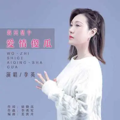 我只是个爱情傻瓜(DJ默涵版伴奏)封面
