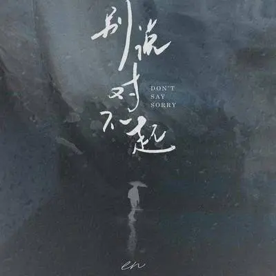 别说对不起封面