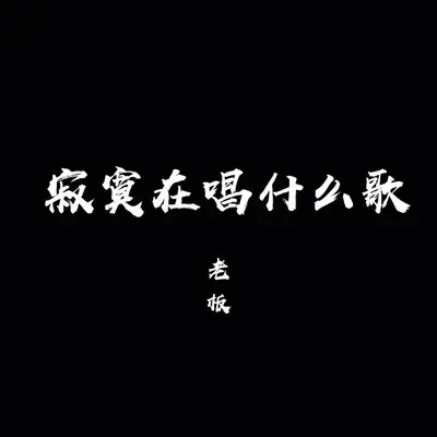 寂寞在唱什么歌（弹唱版）封面