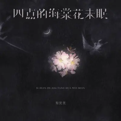 四点的海棠花未眠(伴奏)封面