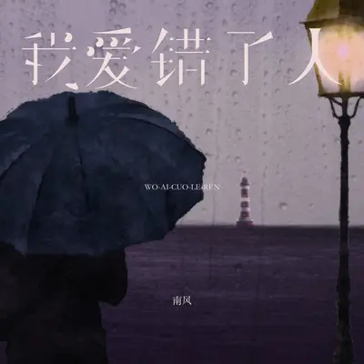 我爱错了人(伴奏)封面