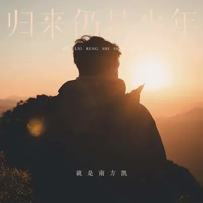 归来仍是少年封面
