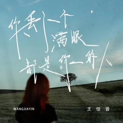 你丢了一个满眼都是你的人(伴奏) - 王佳音Sgr封面