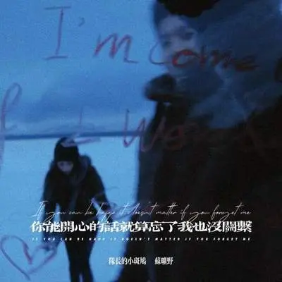 你能开心的话就算忘了我也没关系封面