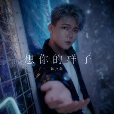 想你的样子 伴奏封面