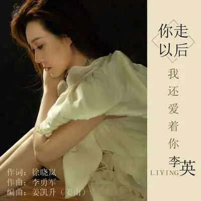 你走以后我还爱着你封面
