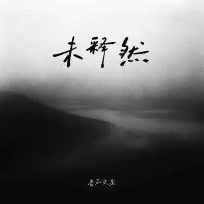 未释然（剪辑版）封面