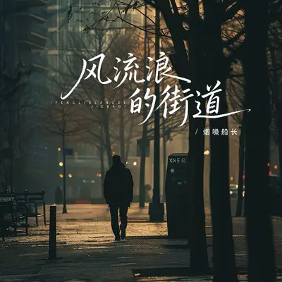 风流浪的街道(动情版片段） - 胡晓船封面