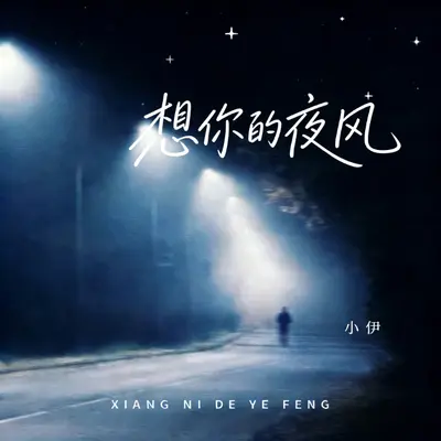 想你的夜风（剪辑版）封面