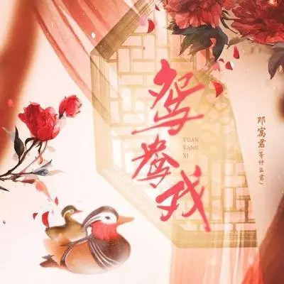 鸳鸯戏 (节奏版伴奏)封面