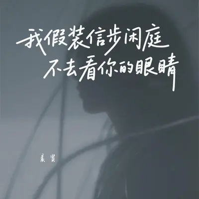 我假装信步闲庭不去看你的眼睛封面