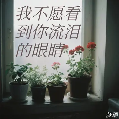 我不愿看到你流泪的眼睛封面