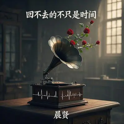回不去的不止是时间封面
